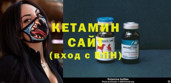 крисы Алексин