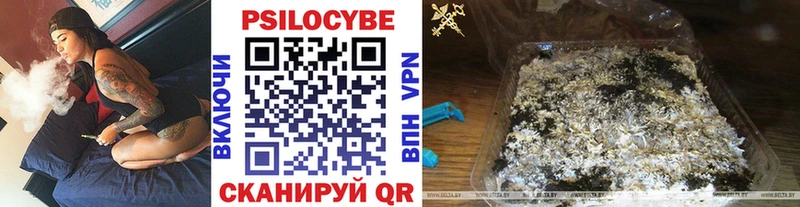 Псилоцибиновые грибы Cubensis  Крым 